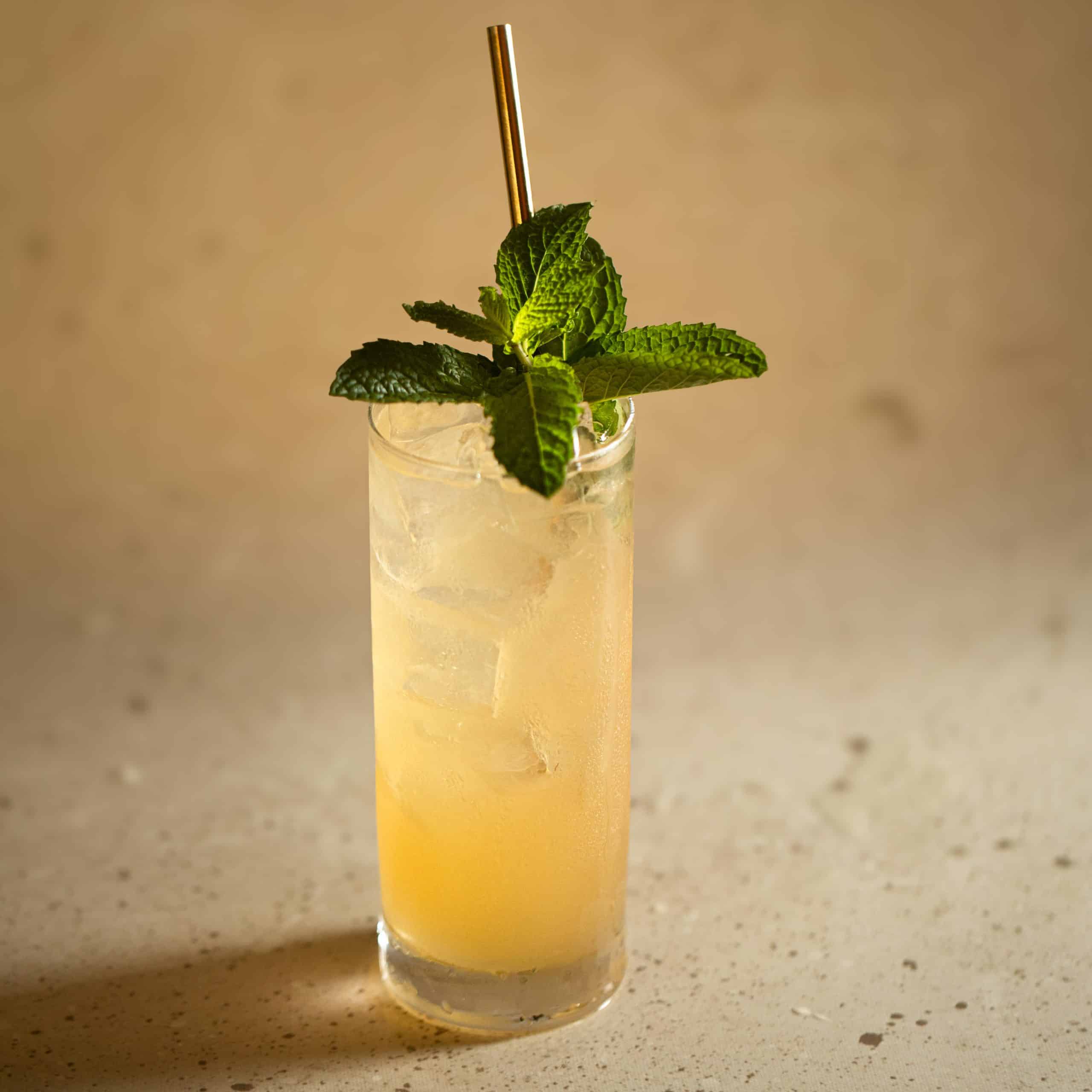 Minted Amaro Fizz